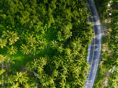 drone photo of coastal highway lined with coconut trees