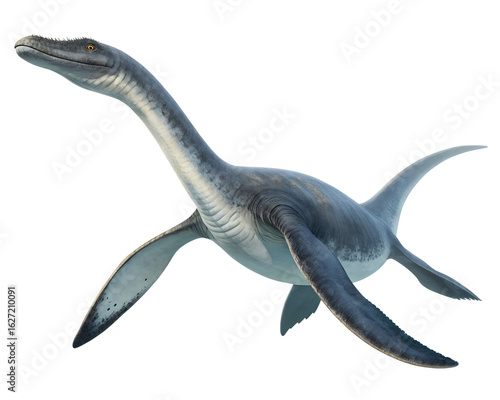 3D Plesiosaurus isolated on white in PNG