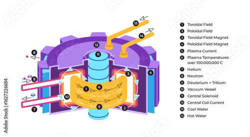 Tokamak thermonuclear fusion reactor including toroidal and poloidal fields plasma magnets and fuel showcasing the process of controlled thermonuclear fusion labeled illustration