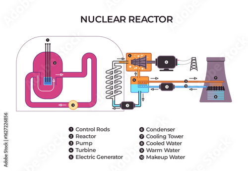 labeled diagram illustrating the components and operational flow of a pressurized water nuclear power reactor from the core to the cooling tower for energy generation
