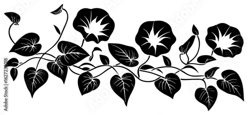 Morning glory vine silhouette decoration border frame