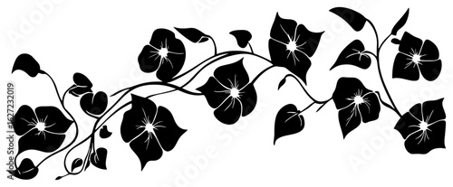 Morning glory vine silhouette decoration border frame