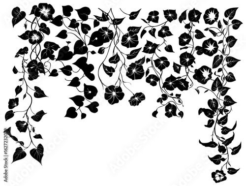 Morning glory vine silhouette border decoration