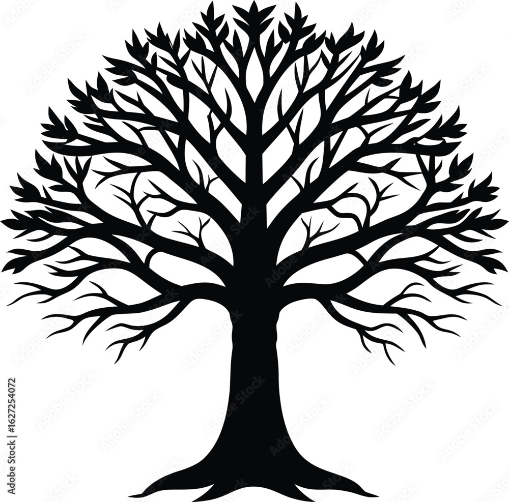 Obraz premium Large tree with spreading branches silhouette isolated on transparent background