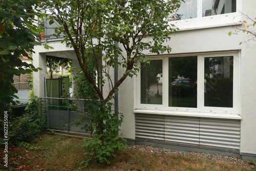 Tree is in front of a building with a white window