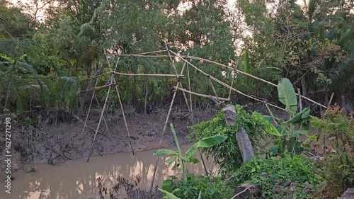 A rustic monkey bridge made of bamboo crossing a narrow muddy creek in the Mekong Delta, Vietnam, surrounded by lush tropical vegetation and dense mangrove trees.