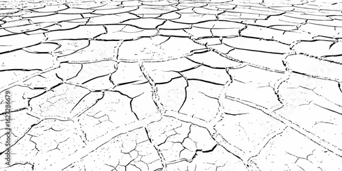  black and white symbolizing dryness and environmental damage  cracked earth showing a dry and barren landscape texture pattern