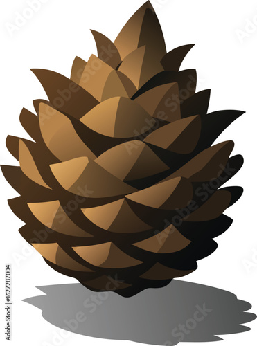 Detailed pinecone illustration with realistic shadow and texture