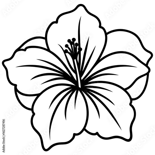 A stylized black and white outline of a hibiscus flower with five petals and visible stamen