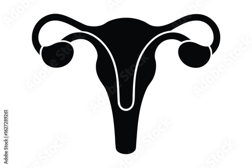 Black Silhouette Illustration Depicting the Female Reproductive System with Ovaries and Fallopian Tubes