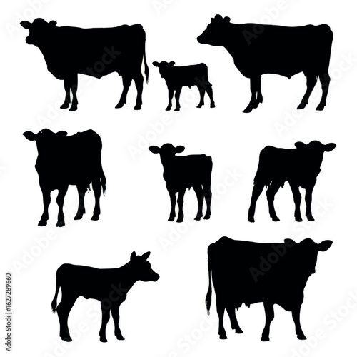 vector illustration of cow calf silhouette set, Black & White silhouette set 