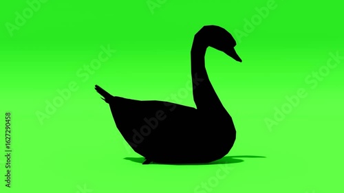 Silhouette goose on green screen