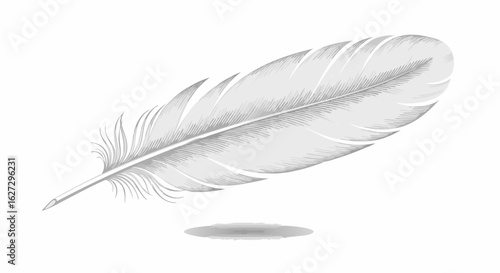Intricate Feather Illustration Showcasing Delicacy and Lightness with Subtle Shading and Detailed Texture Representing avian flight