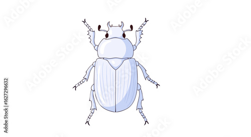 Stylized Illustration of a White Scarab Beetle on a Clean Background, Insect Art, Depicting a Detailed Scarab with Fine Lines and Minimalist Shading