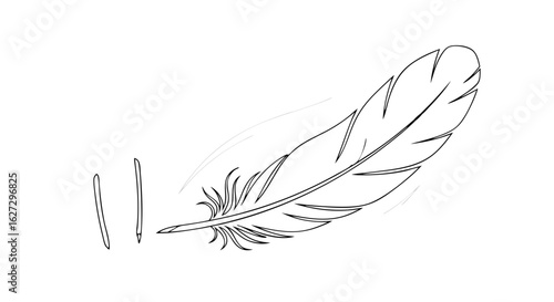 Minimalist depiction of a feather, rendered in black and white line art isolated over a white background perfect for graphics