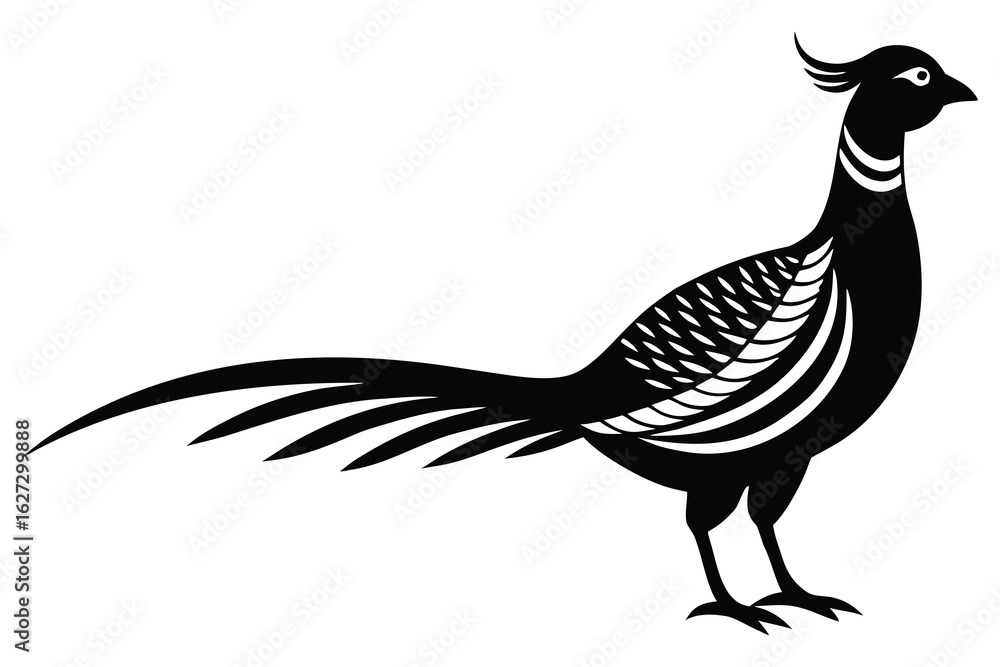 Fototapeta premium Elegant Black Pheasant Silhouette Bird with Stylized Feathers and Crest Decoration