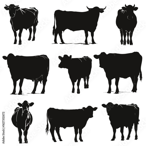vector illustration of cow silhouette set, Black & White silhouette set 