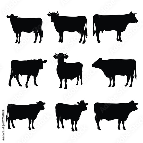 vector illustration of cow silhouette set, Black & White silhouette set 