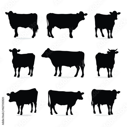 vector illustration of cow silhouette set, Black & White silhouette set 