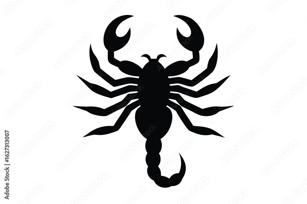 Scorpion Silhouette Illustration Detailed Black of Arachnid with Pincers and Segmented Tail Scorpion Silhouette Illustration Detailed Black of Arachnid with Pincers and Segmented Tail