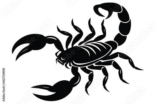 Silhouette of a Black Scorpion Featuring Claws, Tail, and Eight Legs on White Background
