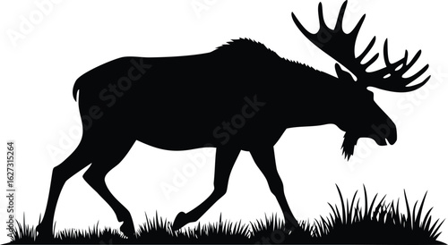 Silhouette of a Bull Moose Walking Through Grass on a White Background