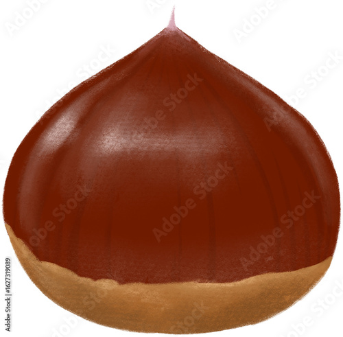  chestnut