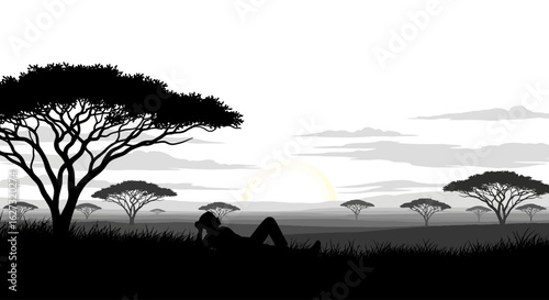 serene silhouette of a woman contemplating the african savanna at sunrise, isolated on a transparent background – vector illustration