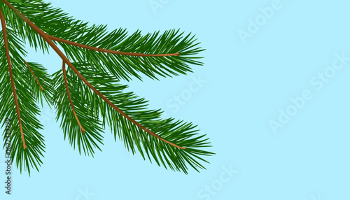 Lush green pine bough with detailed needles, an evergreen branch illustration.