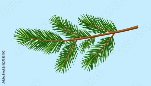 Lush green pine branch illustration with detailed needles and a brown woody stem.