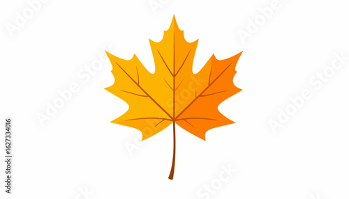 Vibrant yellow and orange autumn maple leaf illustration with detailed veins.
