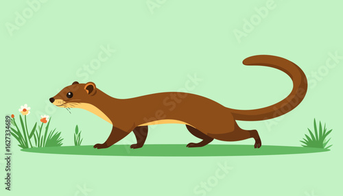 A cute cartoon brown weasel with a long body and curved tail walking on a grassy field.