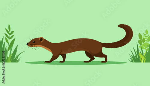 A slender brown weasel or marten walking in profile, a vector illustration with a long body and bushy, curved tail.
