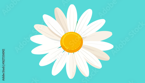 Stylized white daisy illustration with layered petals and a textured yellow center.