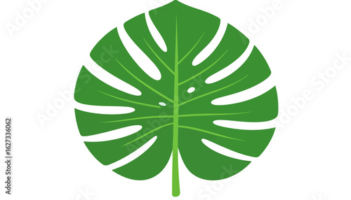 Vibrant green stylized Monstera deliciosa leaf with iconic fenestrations and detailed veins.