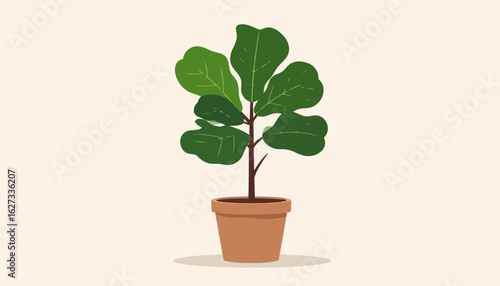 Flat vector illustration of a lush Fiddle Leaf Fig plant in a simple terracotta pot.