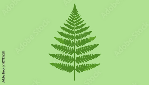 Stylized green fern frond illustration with symmetrical, feathery leaflets and a tapered tip.