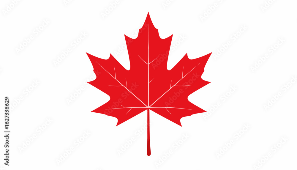 Naklejka premium Stylized red maple leaf icon with eleven points and thin white veins.