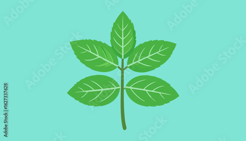 Stylized green mint sprig illustration with five serrated leaves and prominent light green veins.