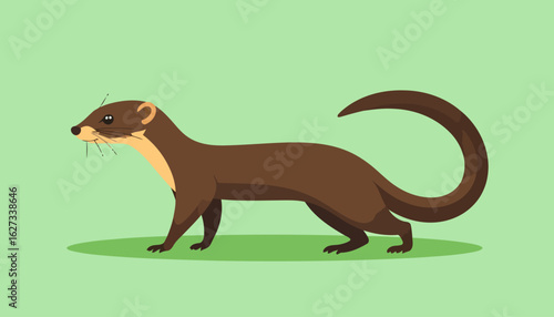 Stylized brown weasel with a cream throat, standing alert with a long curved tail.