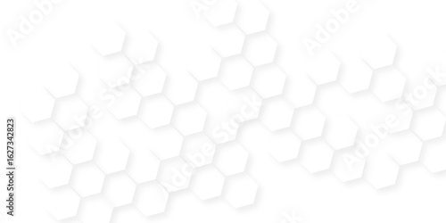 Abstract white vector wallpaper with hexagon grid, honeycomb white mosaic cell web ,light and shadow texture design, banner design with hexagon pattern on white background.