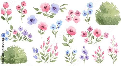 Delicate watercolor floral elements with pastel hues for artistic composition