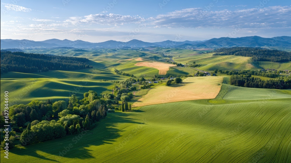 Obraz premium Lush green hills and fields stretch across the landscape, with gentle slopes under a clear blue sky, creating a serene and picturesque rural scene.