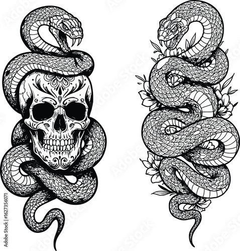 Detailed Pair of Skulls and Snakes Engraving Style: Intricate Tattoo Designs Symbolizing Death, Rebirth, and Nature's Cycle, Ideal for Edgy Graphics.
