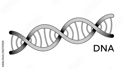 A graphic illustration of a dna double helix structure in black and white against a white background