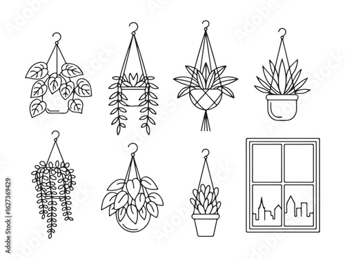 Collection of line art hanging houseplants in pots and macrame hangers, a set of icons for urban jungle and home decor concepts.