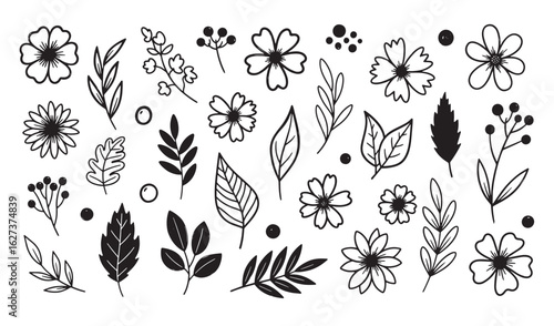 Hand drawn botanical elements including flowers leaves berries and decorative nature sketches.