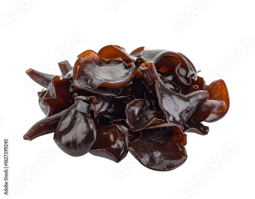 Isolated Wood Ear Mushrooms on White Background