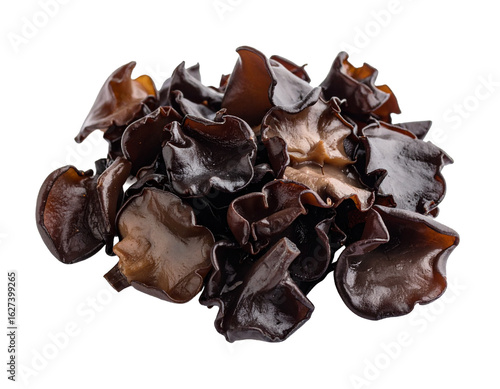 Isolated Wood Ear Mushrooms on White Background