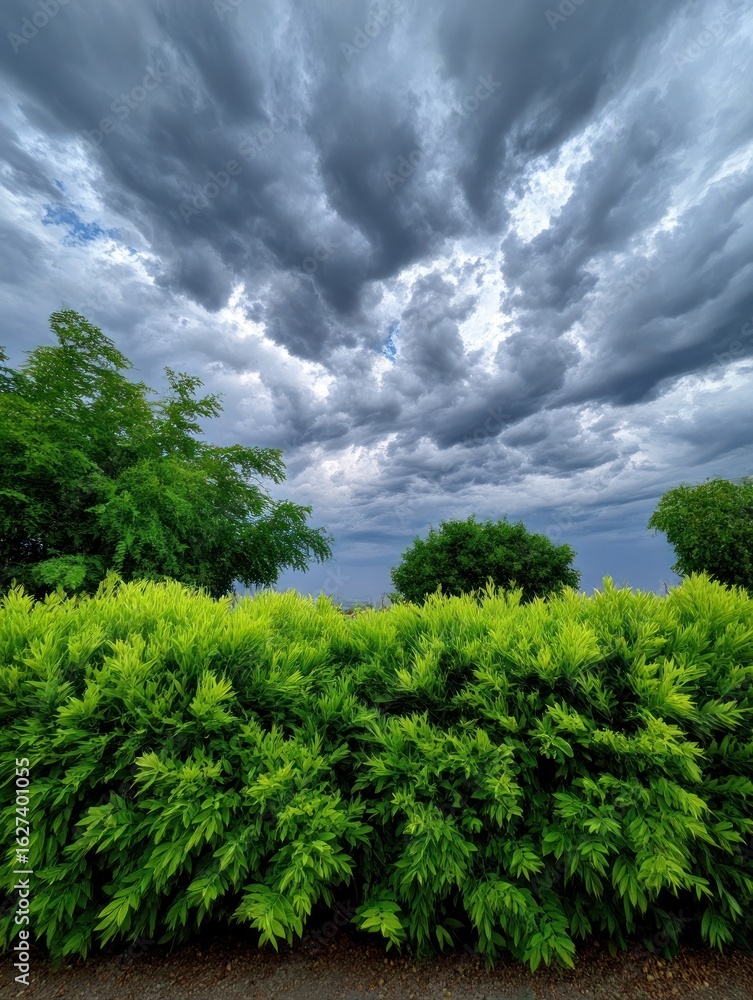 Obraz premium Dramatic sky over lush greenery